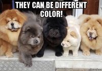 they can be different color! 