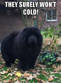 they surely won’t cold! 
