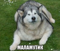  маламутик