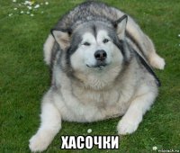  хасочки
