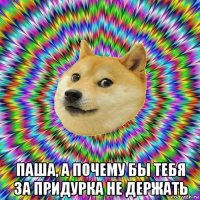  паша, а почему бы тебя за придурка не держать
