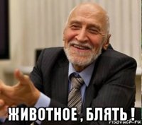  животное , блять !