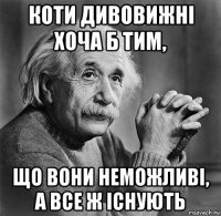 коти дивовижні хоча б тим, що вони неможливі, а все ж існують