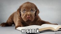  не болей.