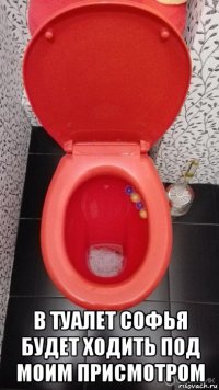  в туалет софья будет ходить под моим присмотром
