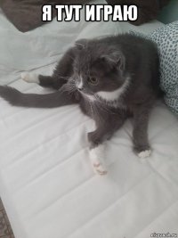 я тут играю 