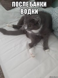 после банки водки 
