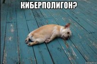 киберполигон? 