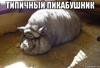 типичный пикабушник 