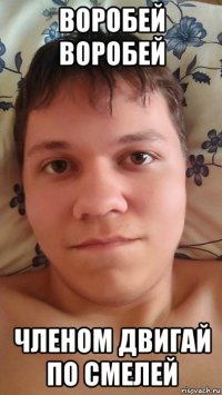 воробей воробей членом двигай по смелей