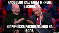 расцвели каштаны в киеве весной. и причёска расцвела моя на воле.