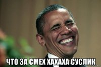  что за смех хахаха суслик