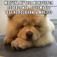 мышка, ну тебе же хочется поговорить...почему бы тебе не позвонить мне??? 