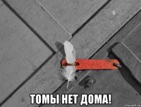  томы нет дома!