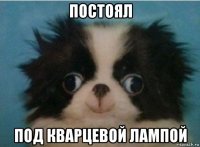 постоял под кварцевой лампой