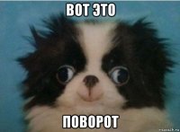 вот это поворот