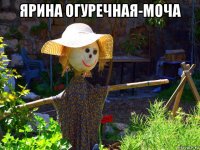 ярина огуречная-моча 