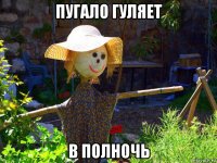 пугало гуляет в полночь