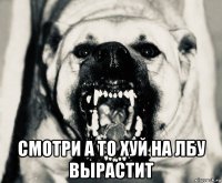  смотри а то хуй на лбу вырастит