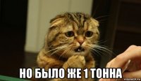  но было же 1 тонна