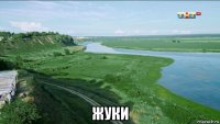  жуки