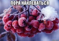 пора наклеваться 