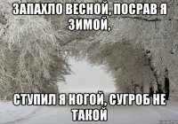 запахло весной, посрав я зимой, ступил я ногой, сугроб не такой