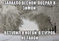 запахло весной, посрал я зимой, вступил я ногой, в сугроб не такой