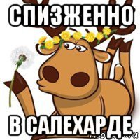 спизженно в салехарде