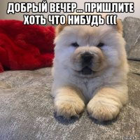 добрый вечер... пришлите хоть что нибудь ((( 