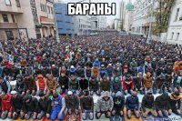 бараны 