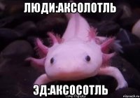 люди:аксолотль эд:аксосотль