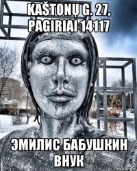 kaštonų g. 27, pagiriai 14117 эмилис бабушкин внук
