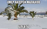 умер андрей малахов блеать