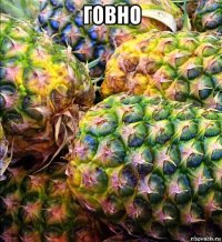 говно 