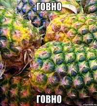говно говно