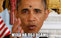  муха на лбу обамы