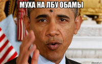 муха на лбу обамы 