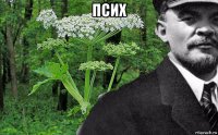 псих 