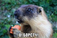  о! борстч!
