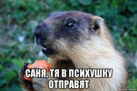  саня, тя в психушку отправят