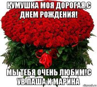 кумушка моя дорогая,с днем рождения! мы тебя очень любим!с ув.паша и марина