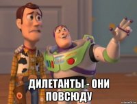  дилетанты - они повсюду