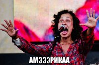  амэээрикаа