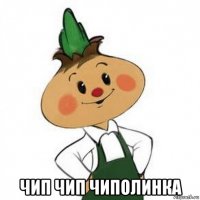 чип чип чиполинка