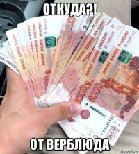 откуда?! от верблюда