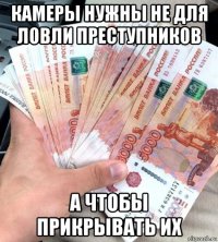 камеры нужны не для ловли преступников а чтобы прикрывать их