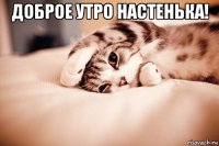 доброе утро настенька! 