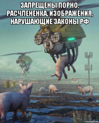 запрещены порно, расчлененка, изображения, нарушающие законы рф 