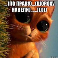 ... (по праву)...(шороху навели)......)))))) 